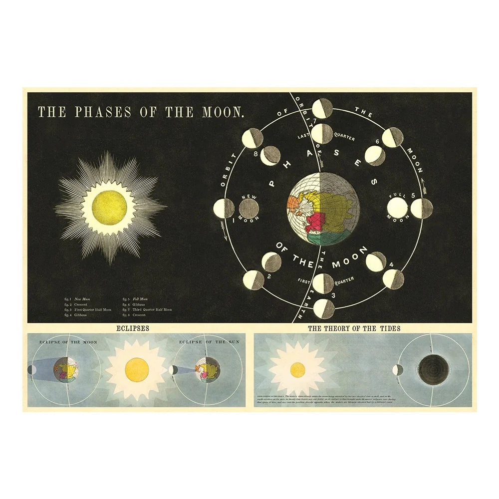 Phases of the Moon 20x28 Wrap Sheet/Art Print