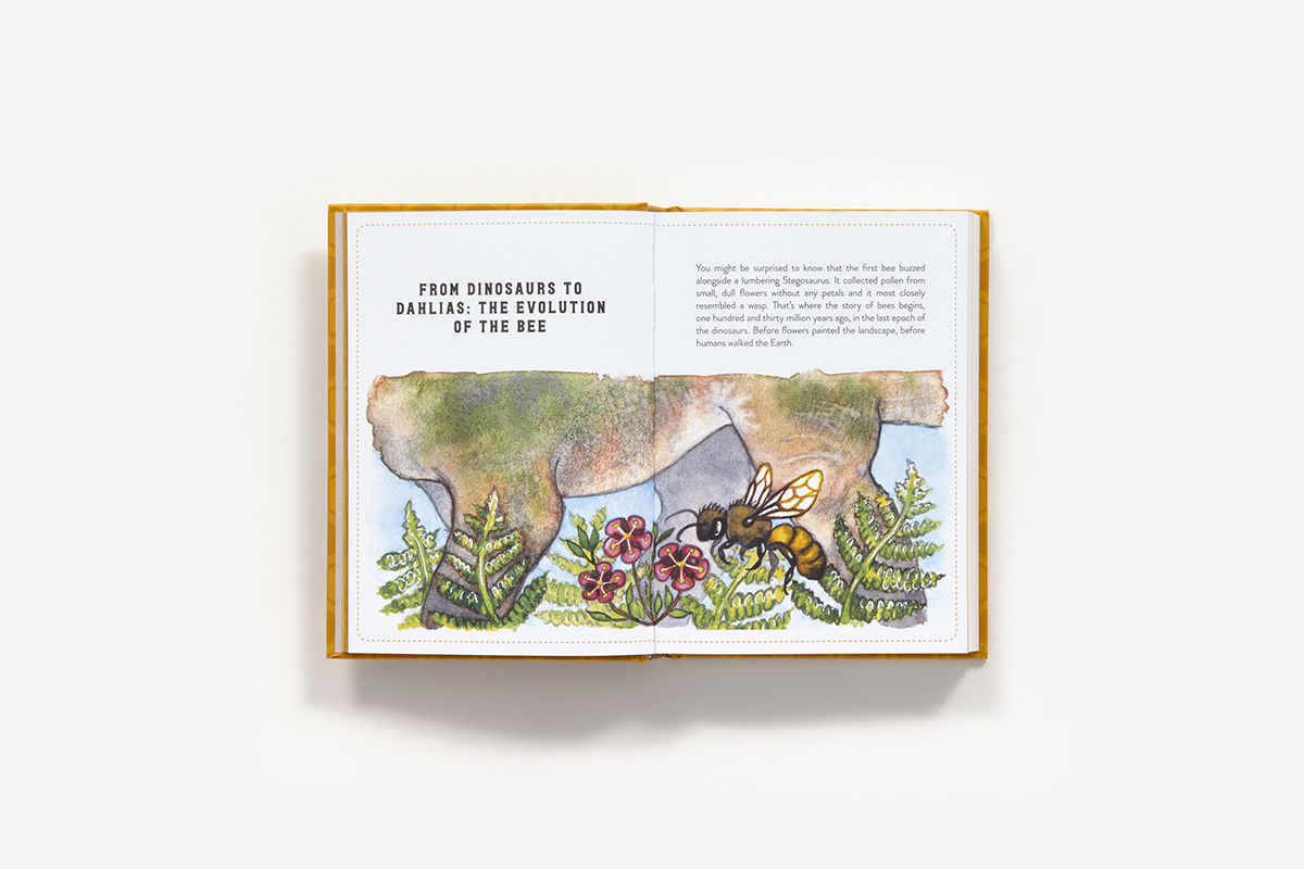 Little Book of Bees