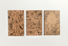 Carnets scientifiques Kraft | Paquet de 3