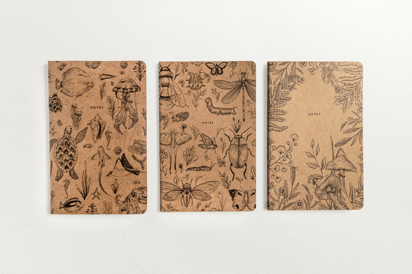 Carnets scientifiques Kraft | Paquet de 3