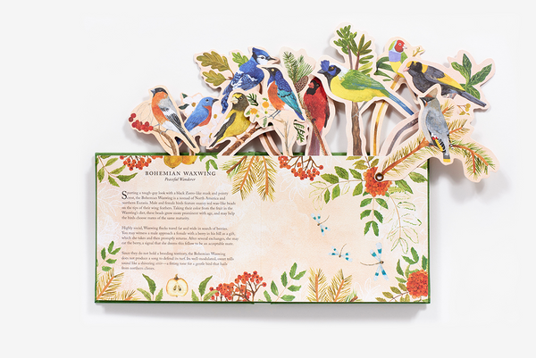 Birds in a Book | Uplifting Editions