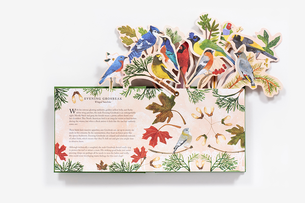 Birds in a Book | Uplifting Editions