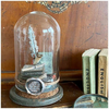 Quote Seals | idea-ology