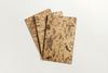 Carnets scientifiques Kraft | Paquet de 3