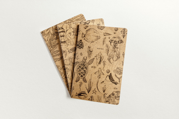 Carnets scientifiques Kraft | Paquet de 3