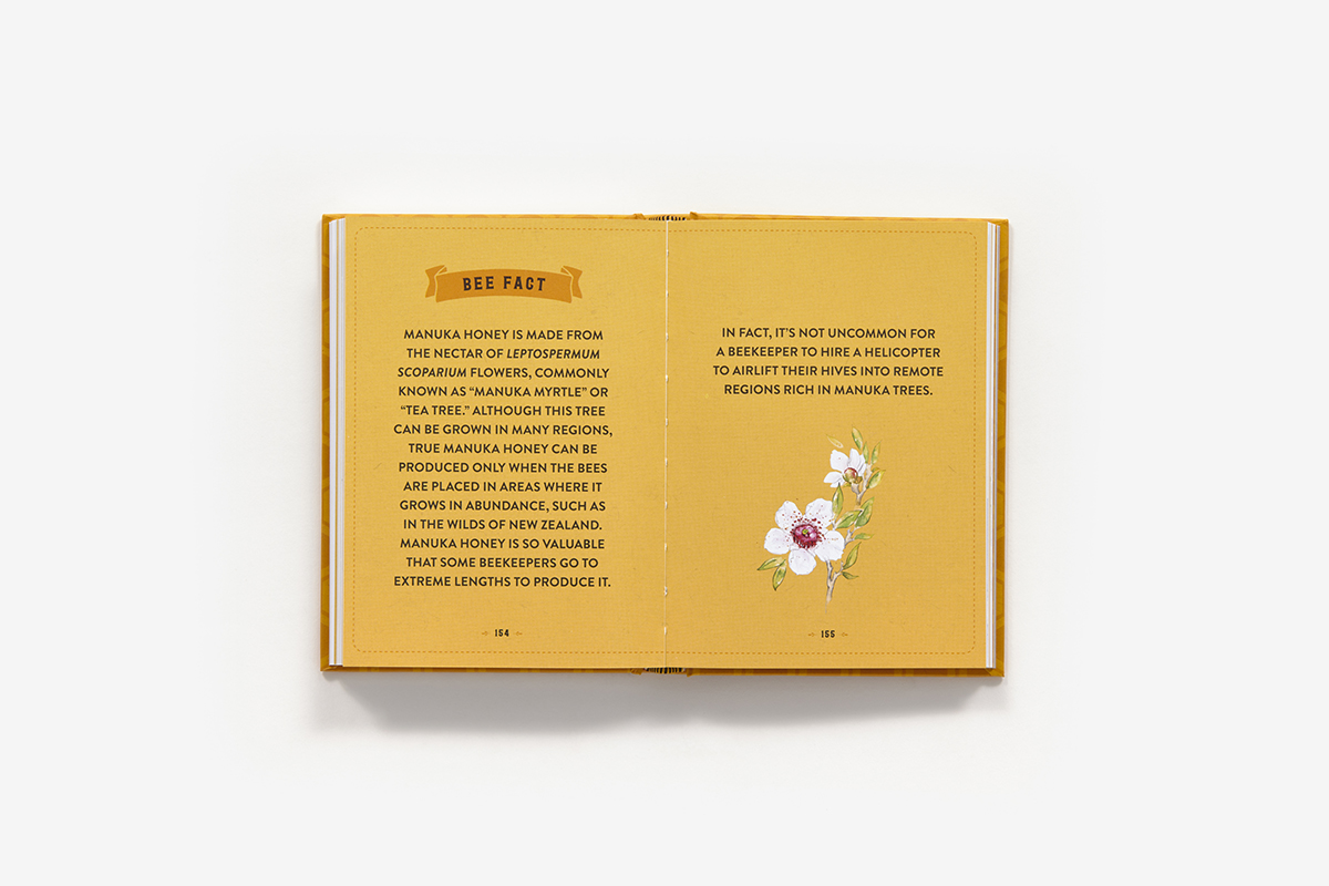 Little Book of Bees