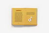 Little Book of Bees