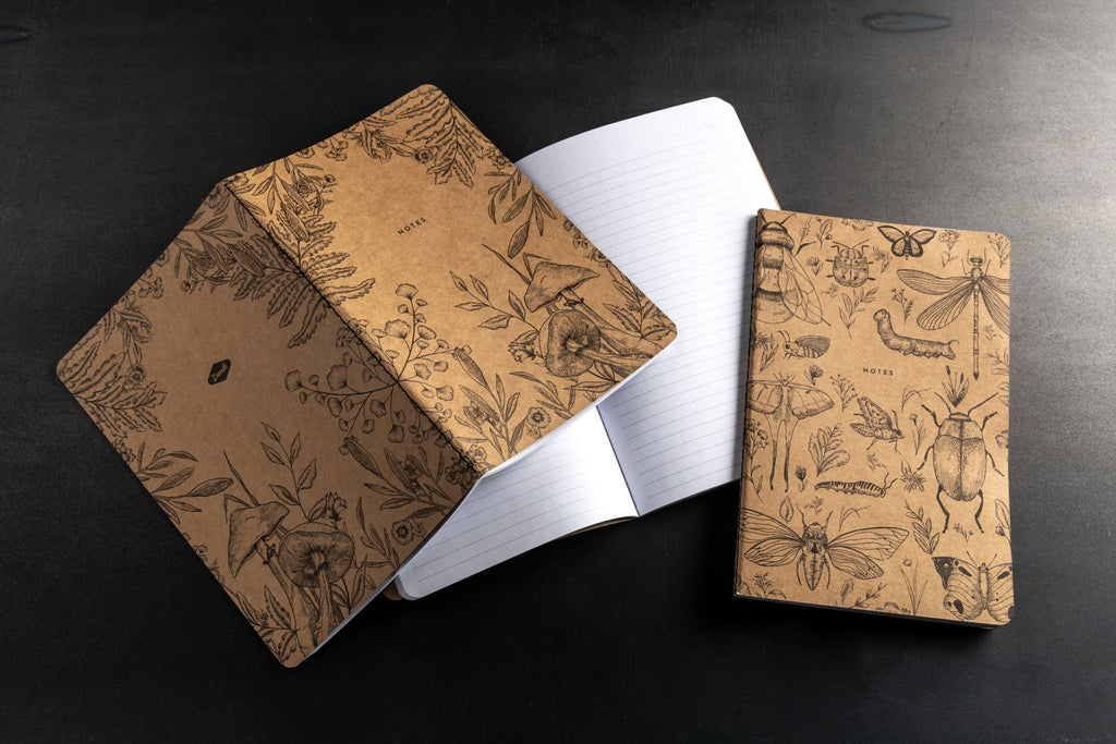 Carnets scientifiques Kraft | Paquet de 3