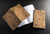 Carnets scientifiques Kraft | Paquet de 3