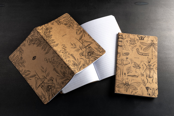 Carnets scientifiques Kraft | Paquet de 3