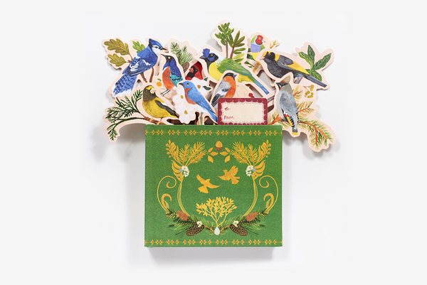 Birds in a Book | Uplifting Editions