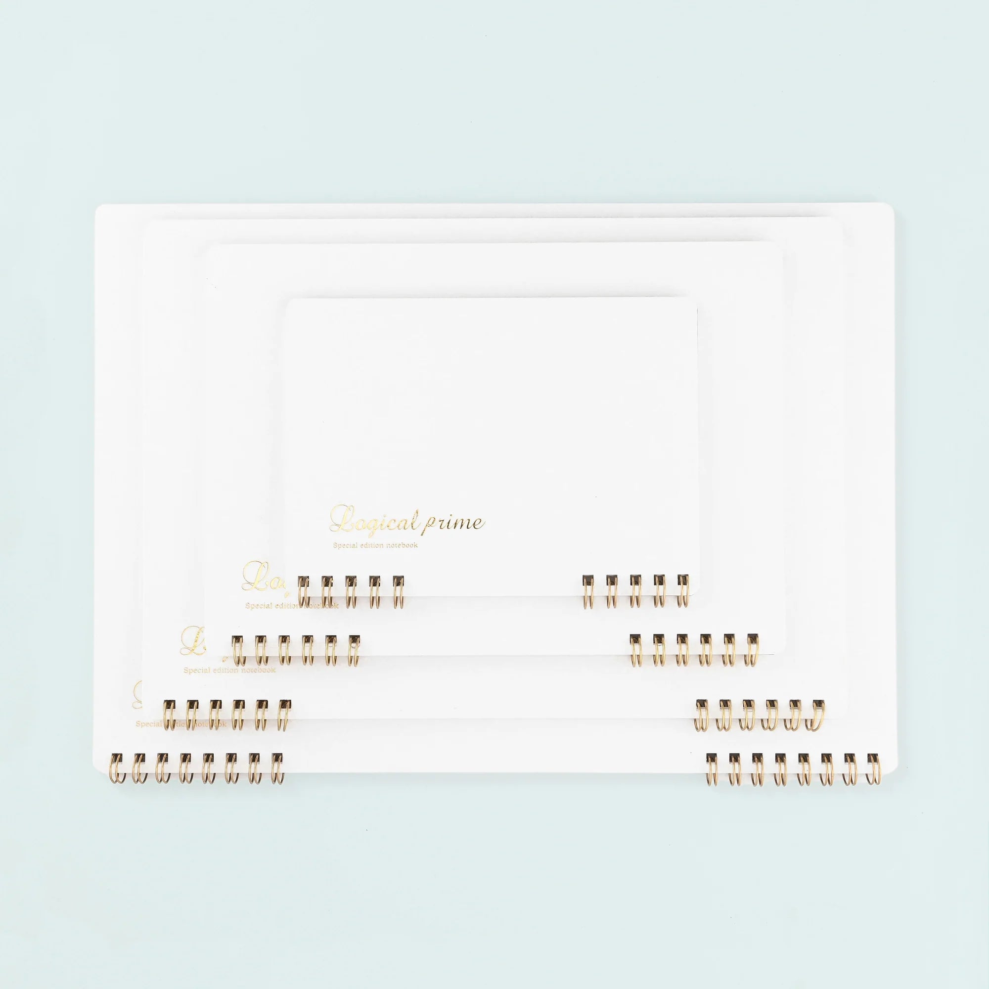 Logical Prime Ring Notebook | Blank