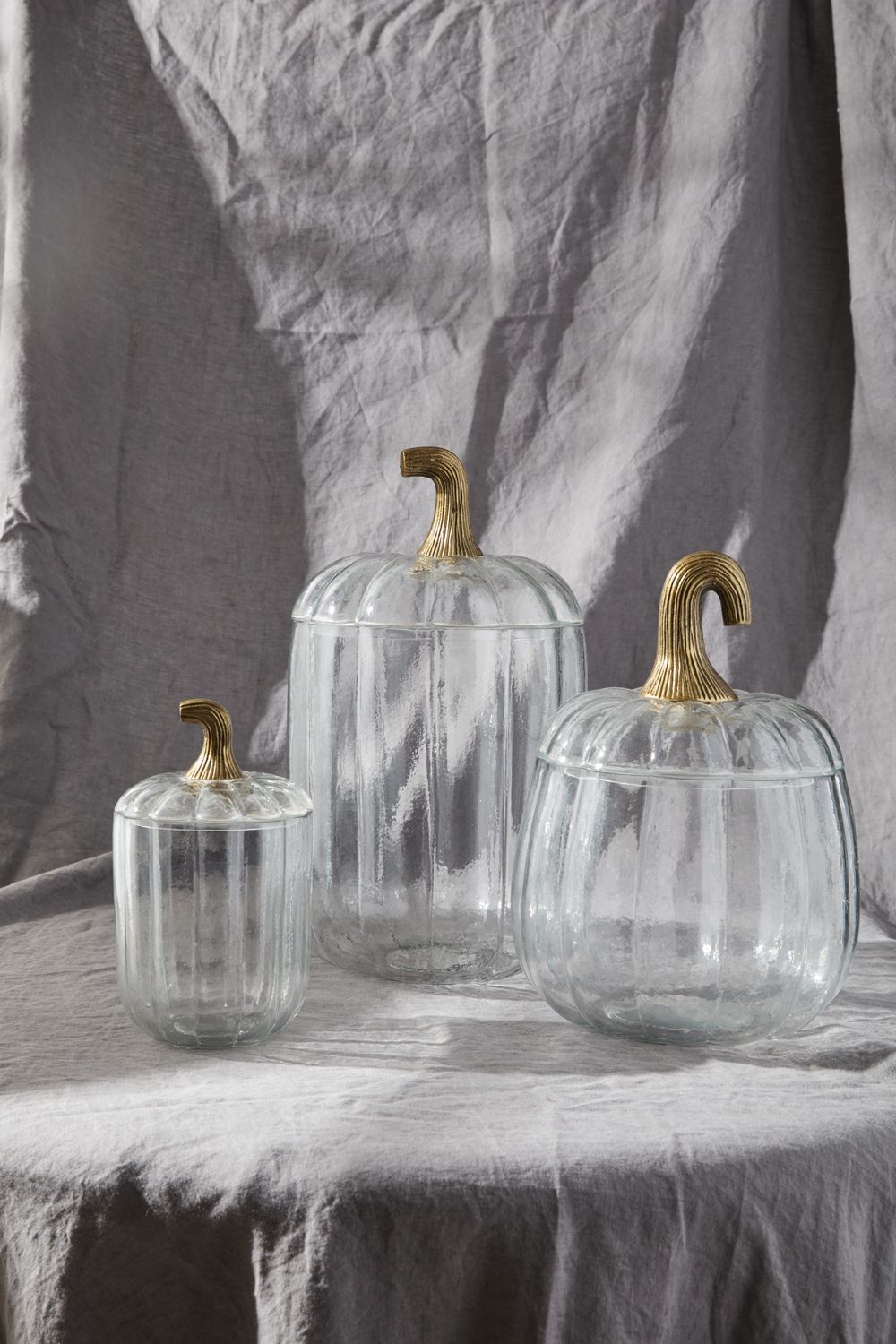 Terrariums de citrouille translucides {plusieurs tailles}