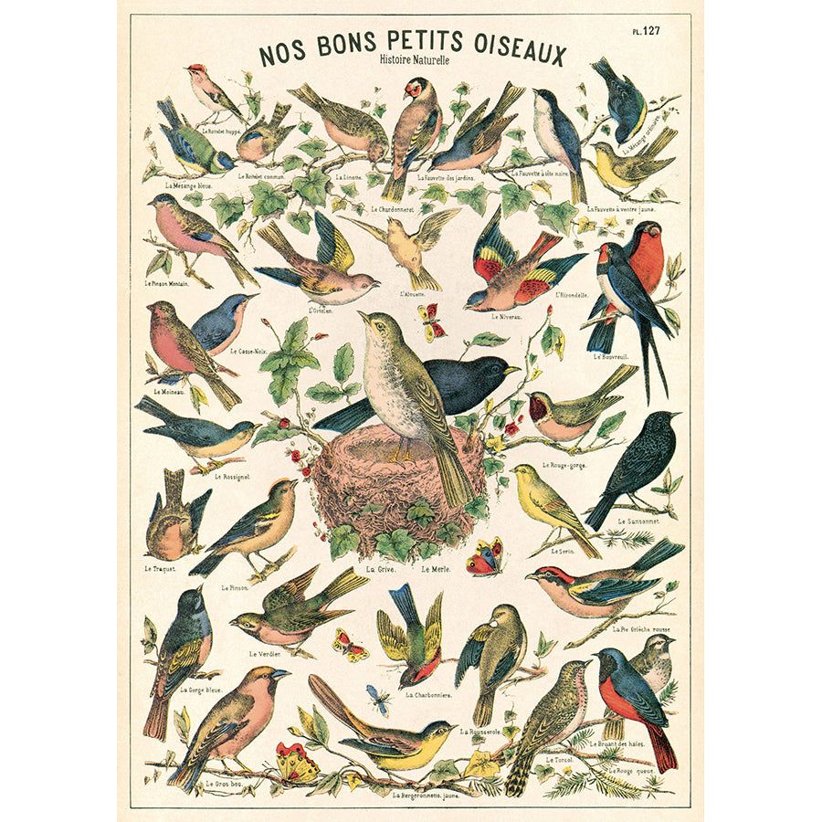 Bird Chart 20x28 Wrap Sheet/Art Print