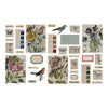 Transparent Things Vol. 2 | idea-ology