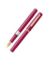 Scrikss 419 Fountain Pen {multiple colors}