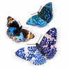 Celestial Butterflies 3pc Laser Cut Specimens
