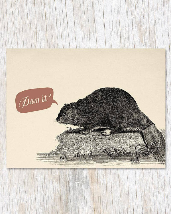 Beaver Dam