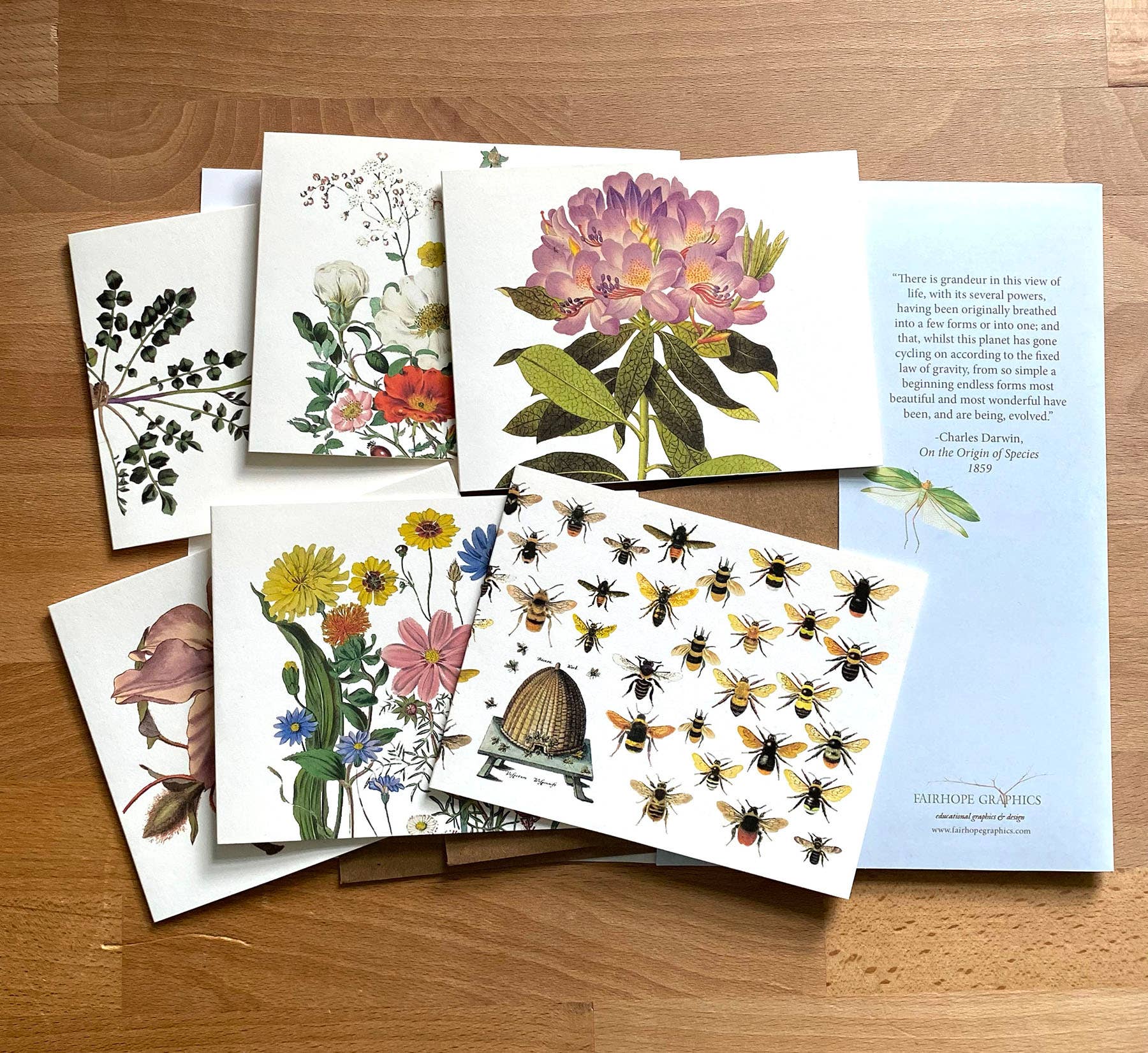 Garden Card Pack