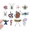 Biophilia Micro Laser Cut Specimen Collection