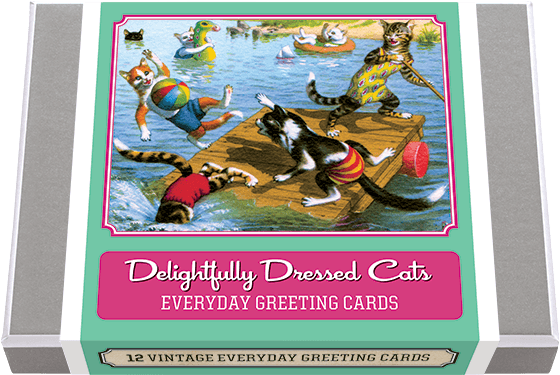 Delightfully Dressed Cats Greeting Card Box