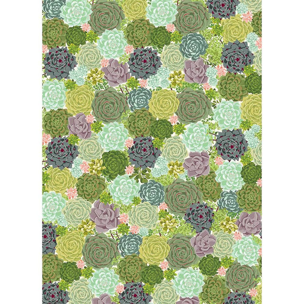 Succulents Roll