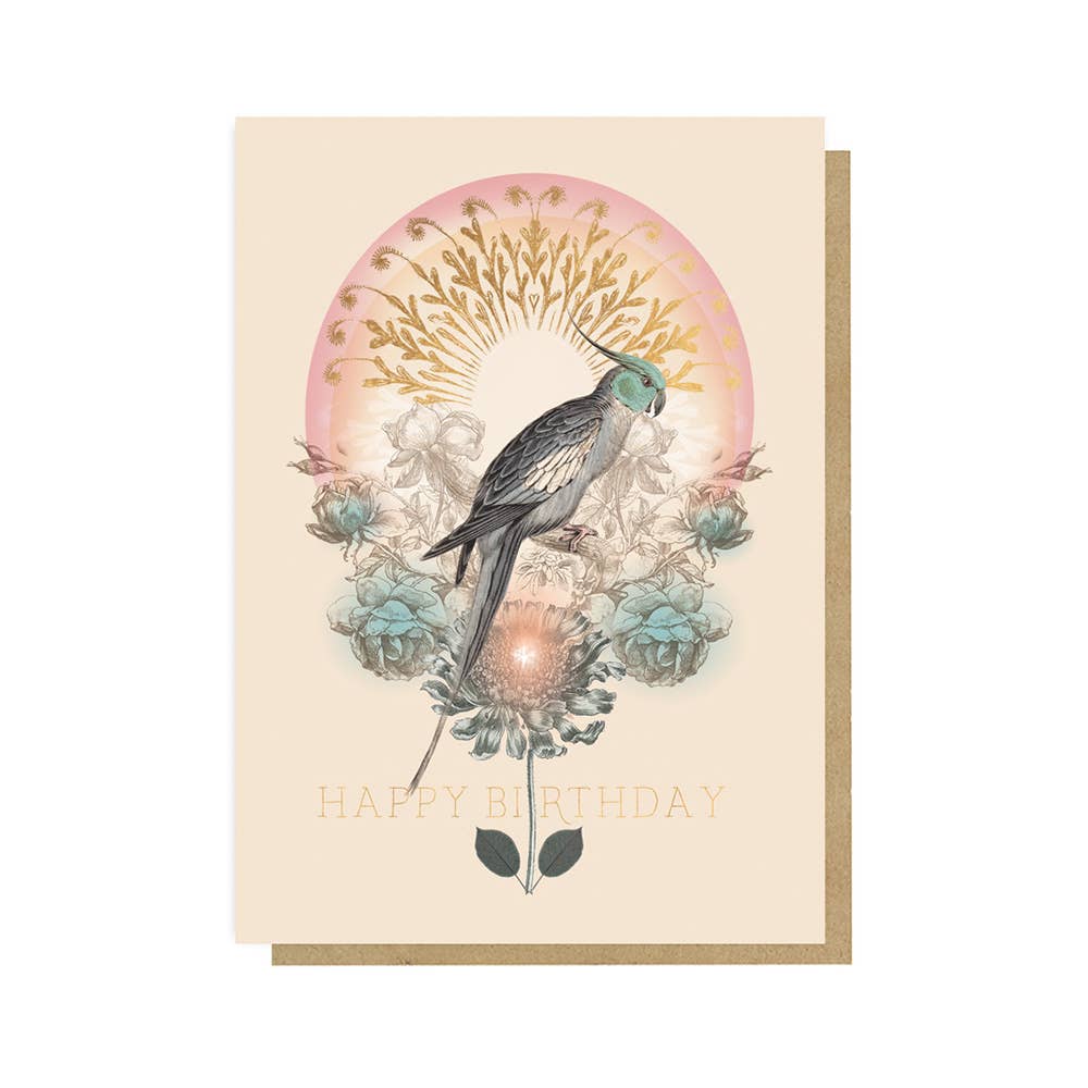 Parakeet