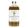 Mélangeur à cocktail concombre jalapeno