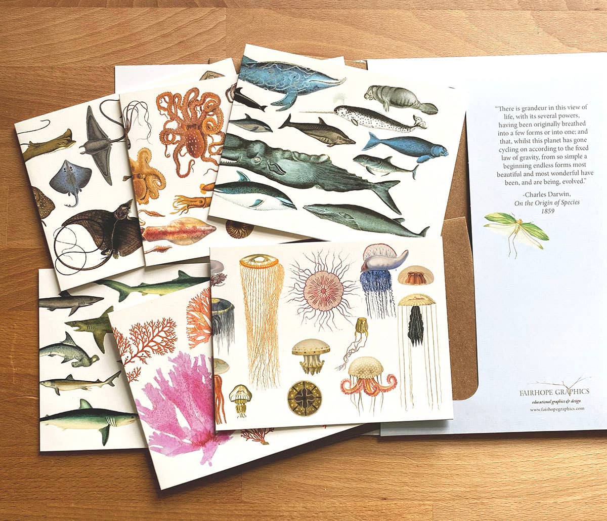 Ocean Card Pack