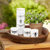 Sea Salt & Citronella Votive Set