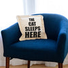 The Dog/Cat Sleeps Here... and Here... Not Here Throw Pillows {multiple designs}