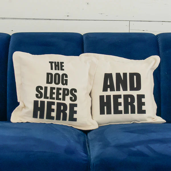 The Dog/Cat Sleeps Here... and Here... Not Here Throw Pillows {multiple designs}