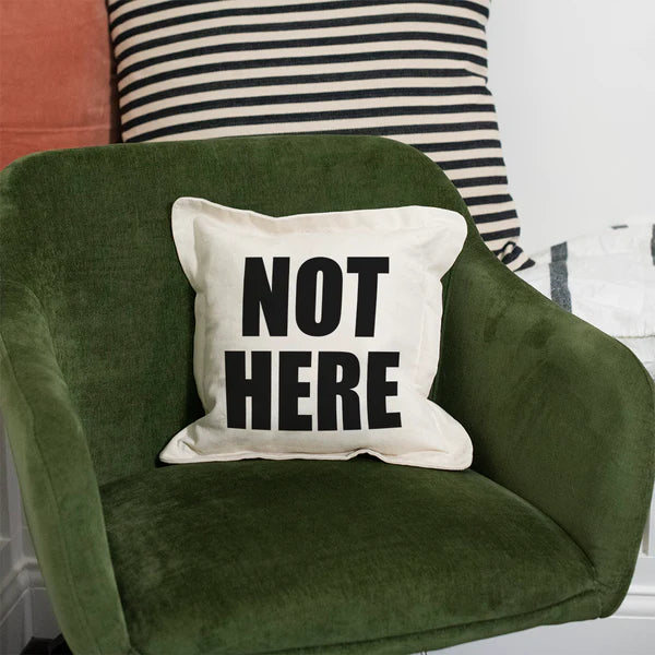 The Dog/Cat Sleeps Here... and Here... Not Here Throw Pillows {multiple designs}