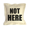 The Dog/Cat Sleeps Here... and Here... Not Here Throw Pillows {multiple designs}