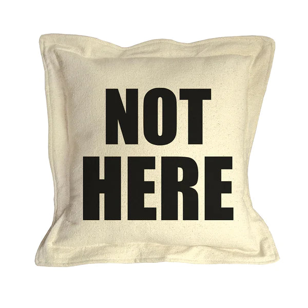 The Dog/Cat Sleeps Here... and Here... Not Here Throw Pillows {multiple designs}