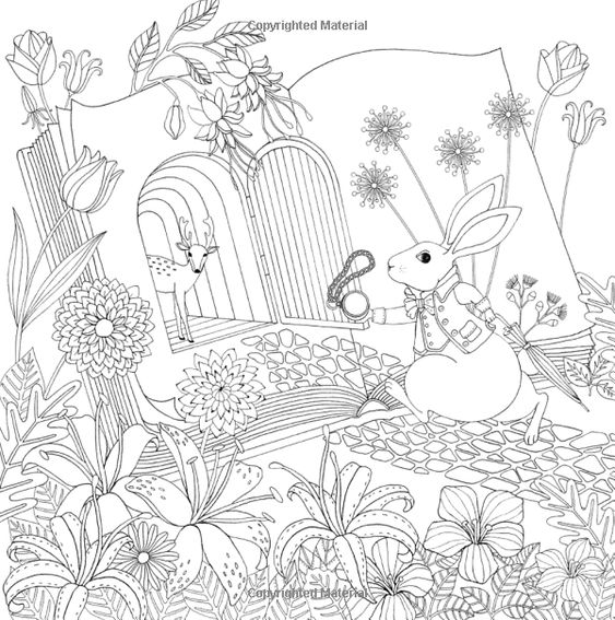 Wonderland Coloring Book