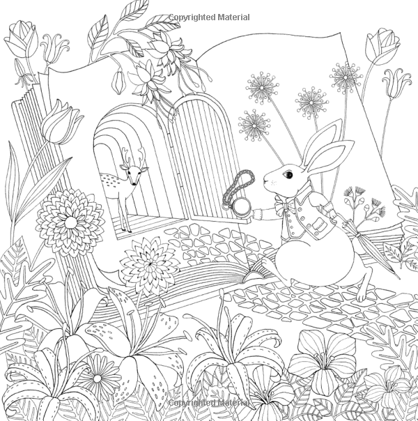 Wonderland Coloring Book