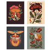 Cartes de notes magiques de minuit {ensemble de 12}