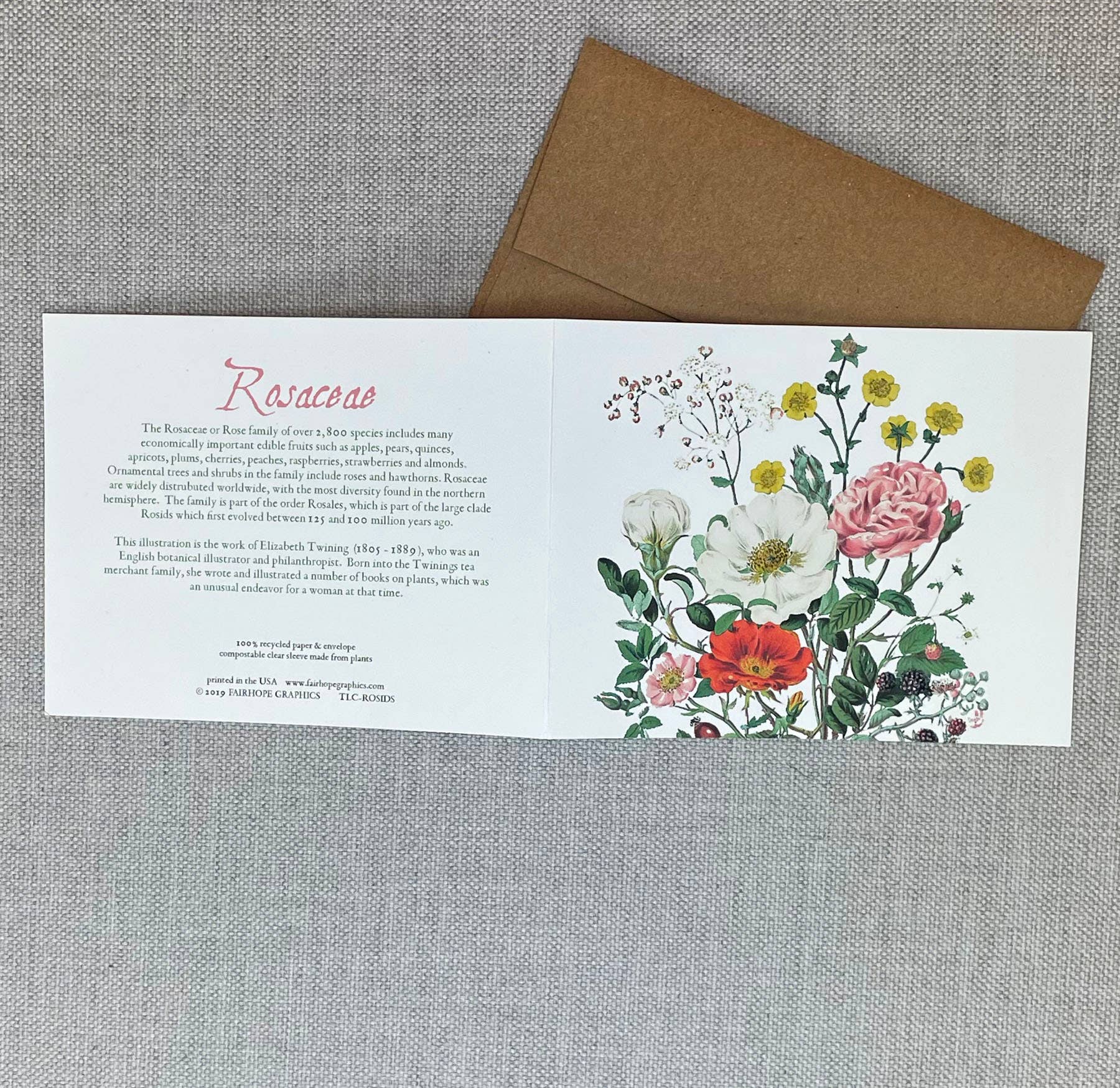 Roses Card
