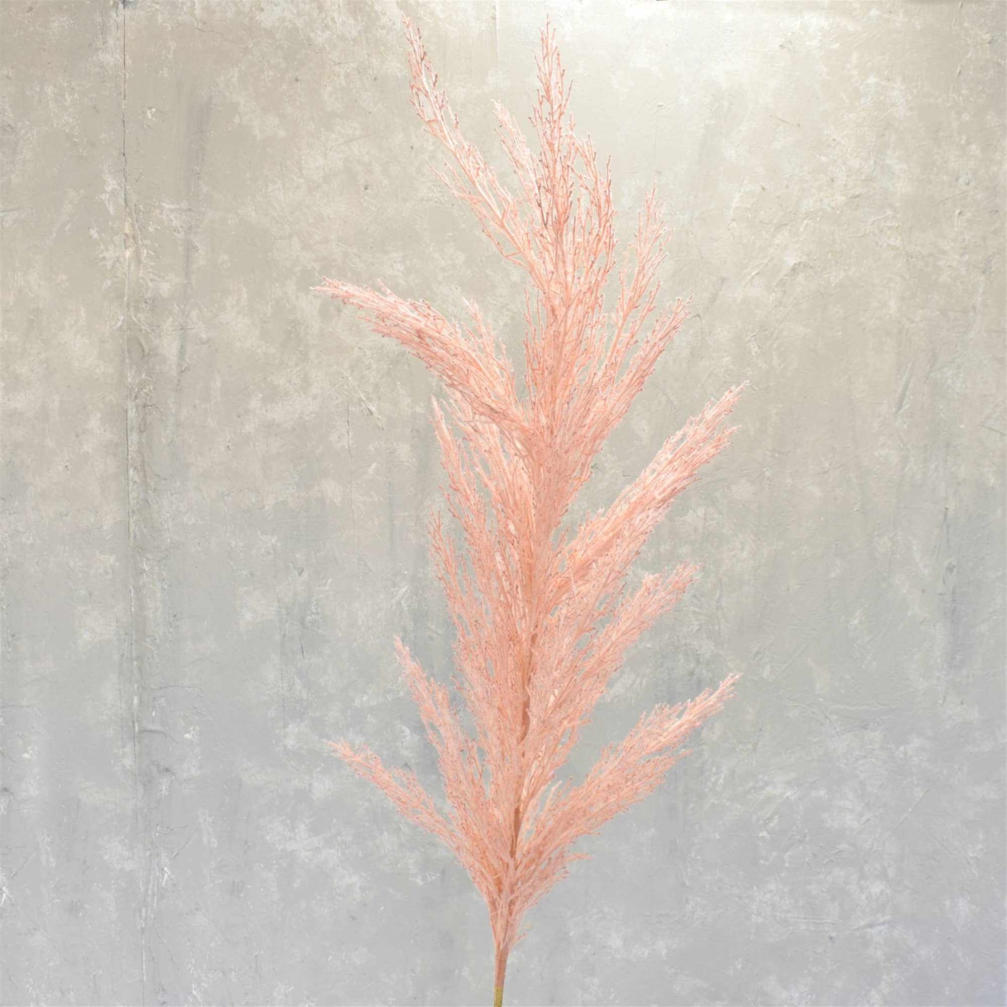 Tige d'herbe de pampa rose Grande de 53 po
