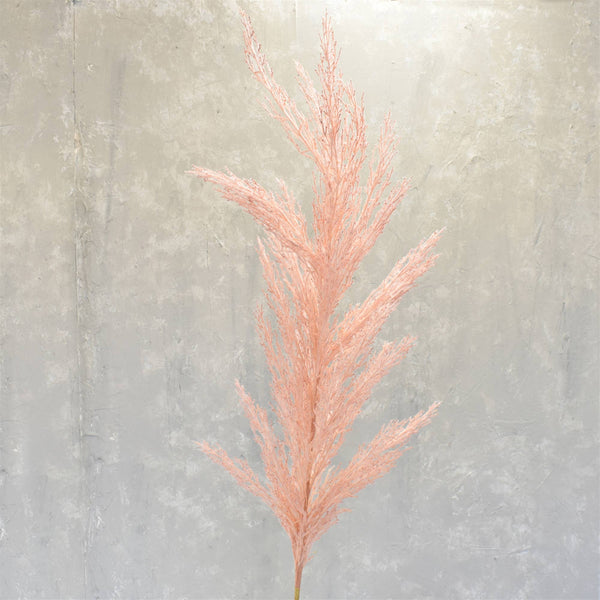 Tige d'herbe de pampa rose Grande de 53 po