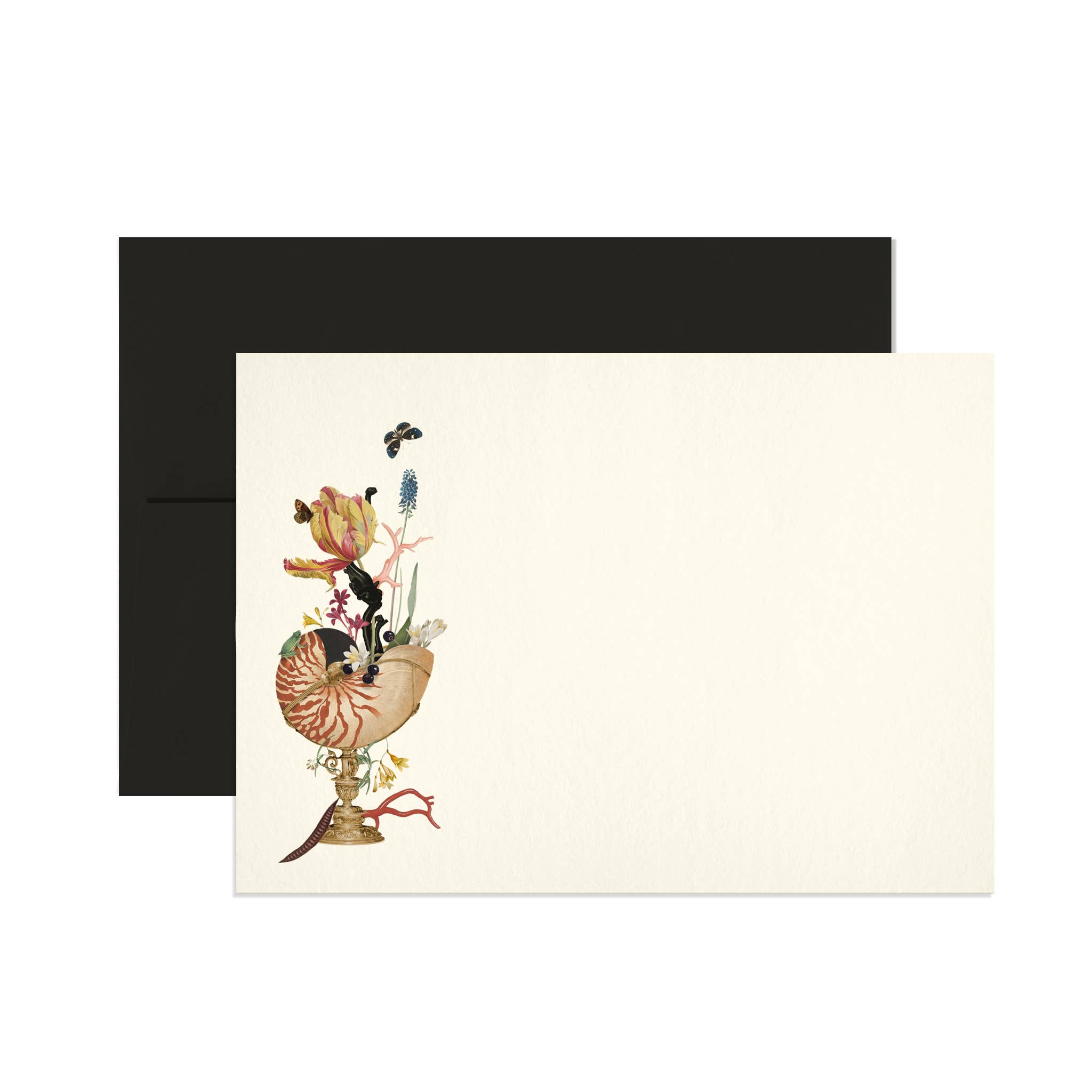 Cartes en boîte Nautilus {ensemble de 6}