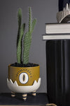 Claw Pot