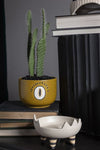 Claw Pot