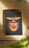Carnet Layflat du papillon cosmique