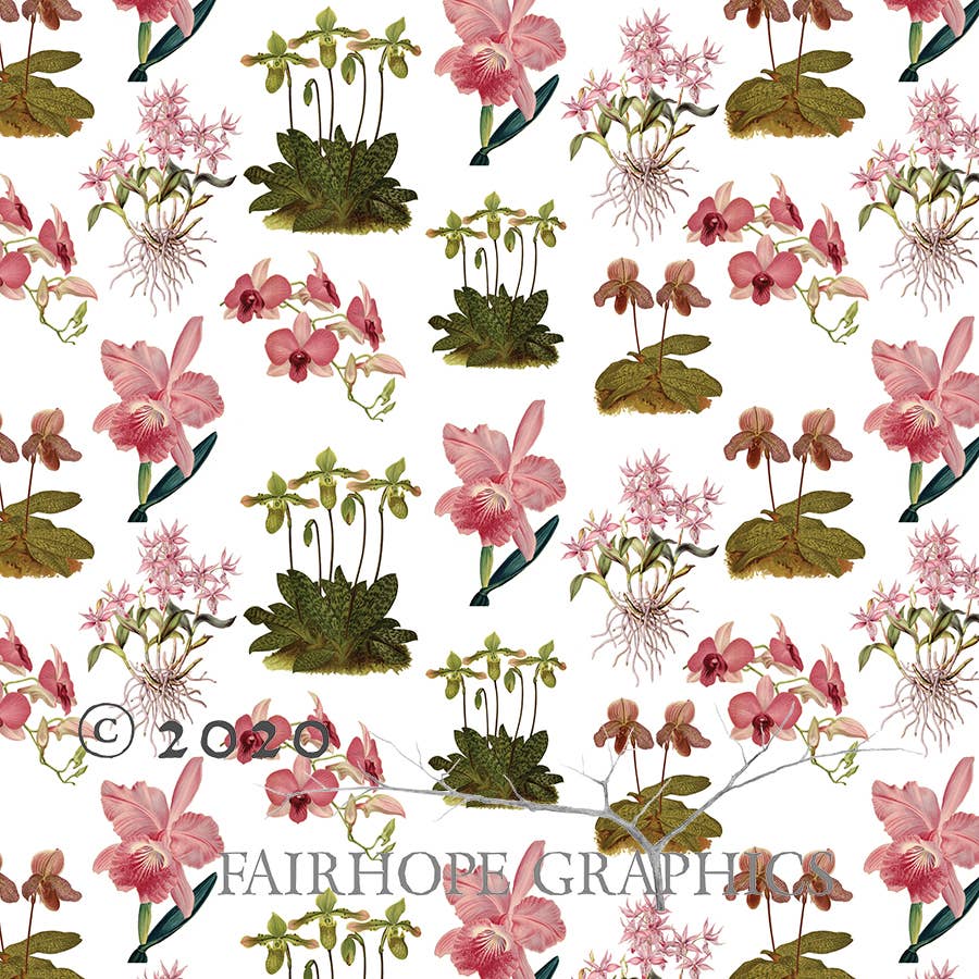 Orchid Gift Wrap {Pink}