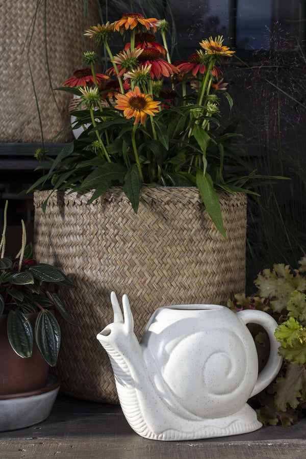 Slowpoke Planter Collection {multiple styles}