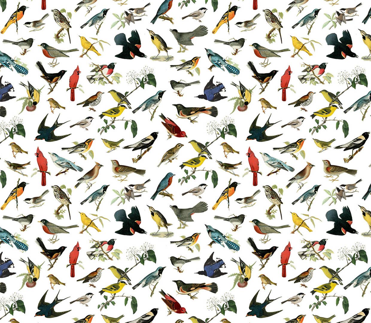 Songbirds Gift Wrap