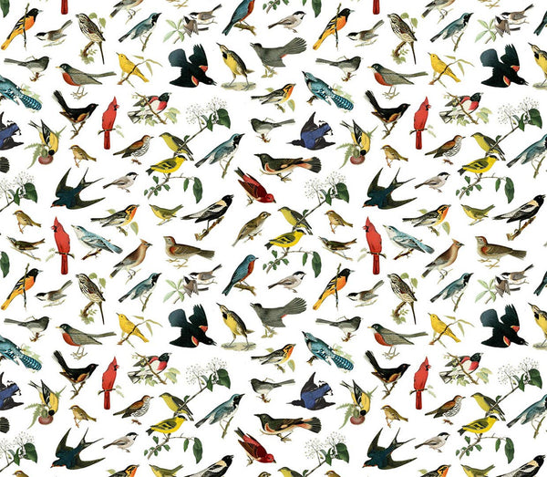 Songbirds Gift Wrap