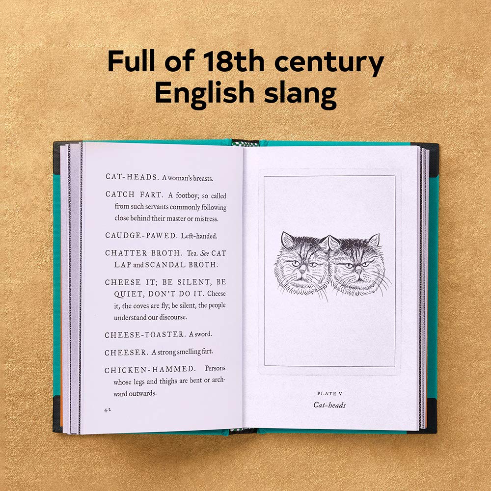 Pocket Dictionary of the Vulgar Tongue